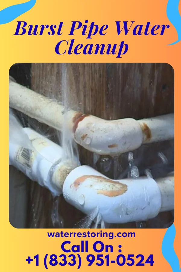 Burst Pipe Water Cleanup in Putnam Lake, NY