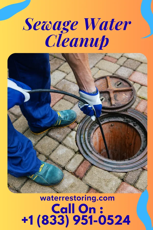 Sewage Water Cleanup in Putnam Lake, NY