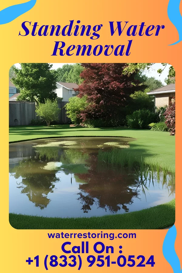 Standing Water Removal in Putnam Lake, NY
